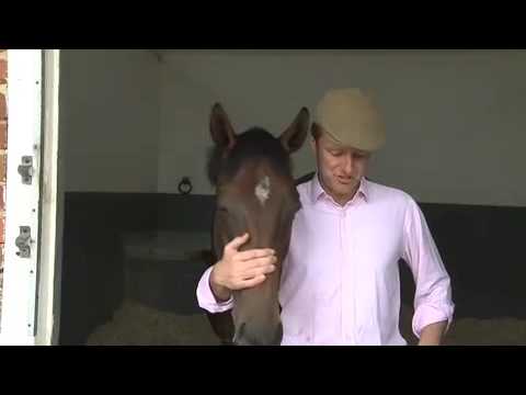 racing post racing post