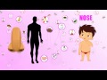 Learn about Human Body Parts For Kids - NOSE