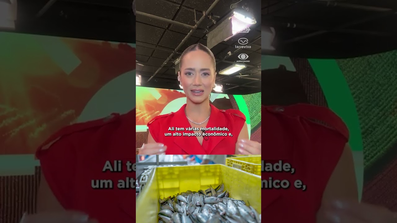 Risco sanitário acende alerta na aquicultura!