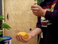 The Crystal Test