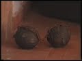 Tourist Souvenir from the House of the Slaves, Goree, Dakar