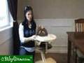 Baby Gizmo Svan High Chair Review