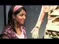 Neha Tiwari - Body Worlds 2 Neha Tiwari - Body Worlds 2