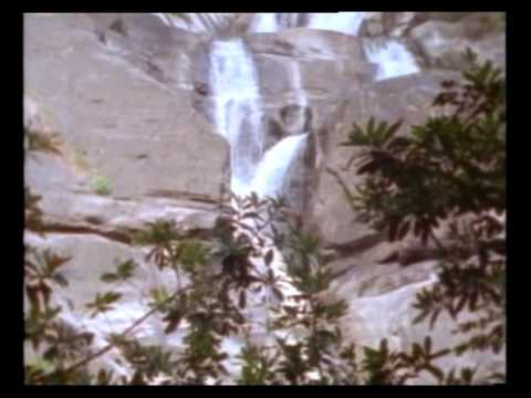 Adam&Eve - Part 1 (Hindi-Movie).avi