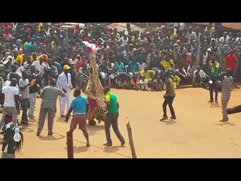 Agbo remireke 2013 - Bobby