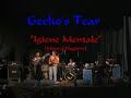 Gecko's Tear - Mental Hygiene - Igiene Mentale live Altrock