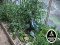Solar Greenhouse Solar Greenhouse