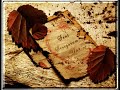 erhan g�lery�z-biz a?k? meleklerden �ald?k