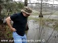 Perch Traps