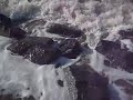 Vesterhavet