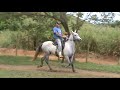 Click here to watch this video Beatriz do Volta