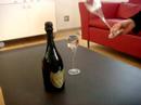very tough  Champaign  glass