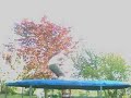 trampoline skills