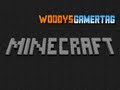 Epic Minecraft World Tour + Announcements
