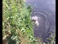 Extreme Dog Training with Charlie and Matt on Doxey Marsh