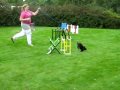 Amores Grand Champion Perspicuous 2009 09 12 Elite kroget