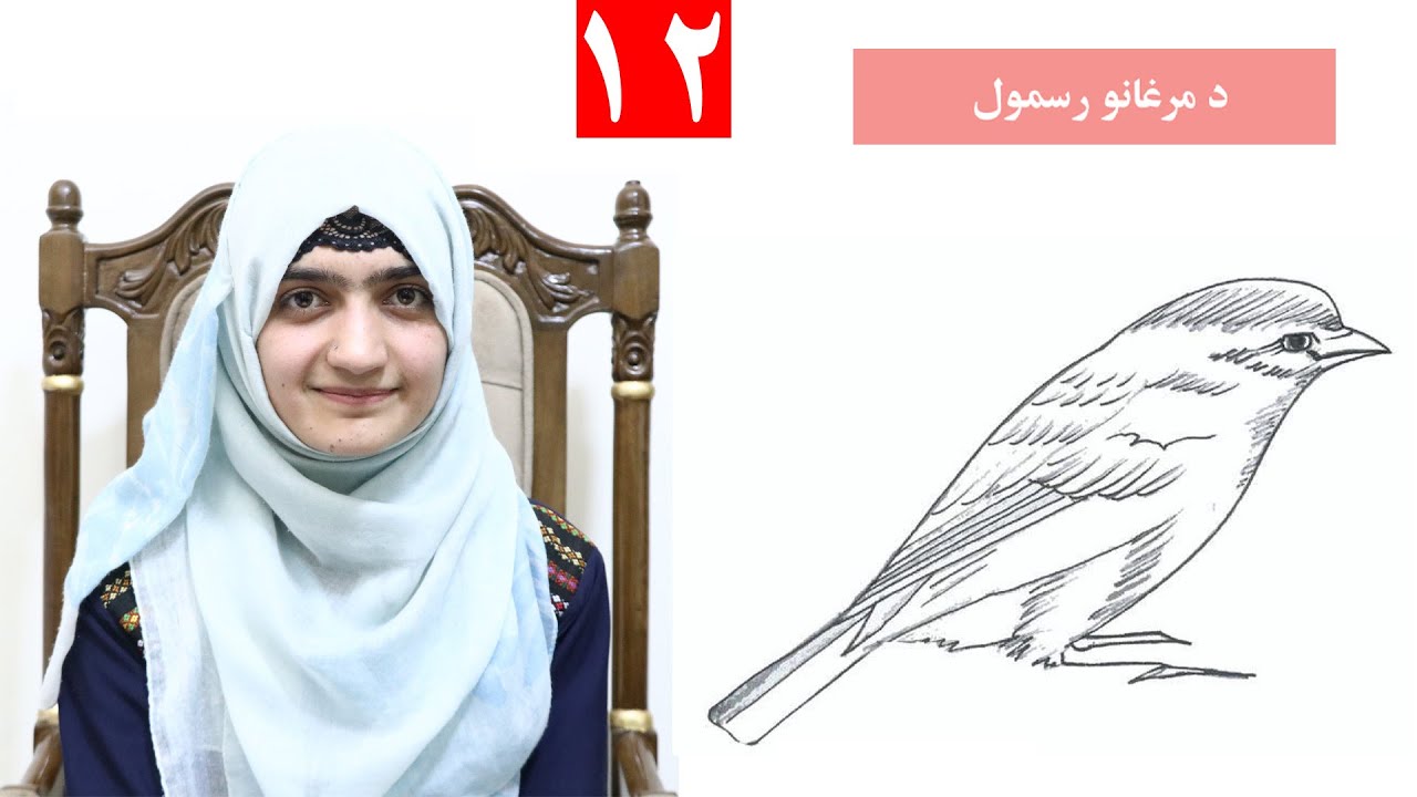 Class 4 - Art | Drawing birds  - Lesson 12,