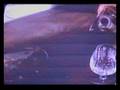 RICARDO MONTANER - SERA