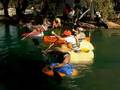 Giant Pumpkin Regatta