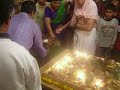 Baby Cow Parikrama Govardhan Puja \