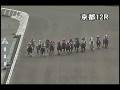 videos de [パトロールビデオ] 081108 5京都1 12R