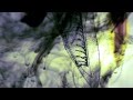 Bon Iver - Minnesota, WI (Deluxe)