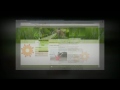Website Design Christchurch NZ