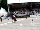 Dressage-Anky & Crack Kur tango CHIO Rotterdam