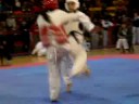 Combate Erroneo de piriwa Combate Erroneo de piriwa