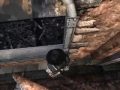 Damnation  Terra Verte Part 5 [HNTP]