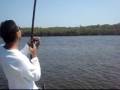 ROBALO FLECHA ROBALAO ITANHAEM