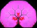 merkaba-vrgen-light-fractals.html