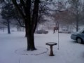 oklahoma snow almendra
