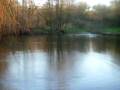FLY FISHING AT FRENSHAM TROUT FISHERY
