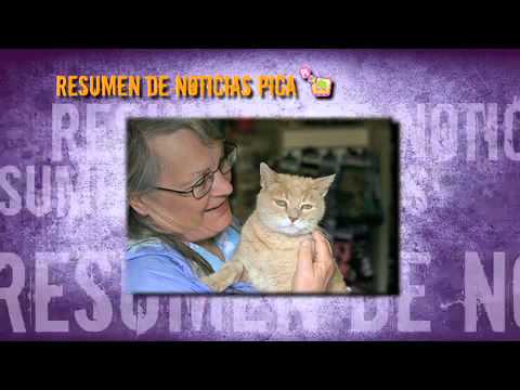 Imagen de previsualización de YouTube