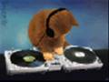 dj kop kop kediler