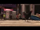 COCK-A-DOODLE-DO | ITVS International COCK-A-DOODLE-DO | ITVS International