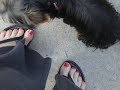 061408 Mallory-Cruiser-Bella (video).AVI