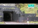 200806 南橫毛地黃 19 人 18 台車