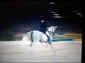 The Beauty of Dressage