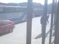 foni vs culi