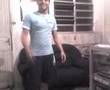 videos de dario psirico