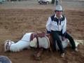 caballo dormilon