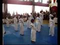 Taekwondo