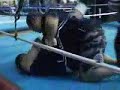 BJJ vs. Kung Fu - Anthony from Bullshido vs Rudy Abel BJJ vs. Kung Fu - Anthony from Bullshido vs Rudy Abel