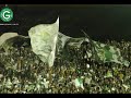 Homenagem Torcida Esmeraldina