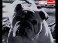 UK Labour Party Political Broadcast - April 1997 - Video 2 UK Labour Party Political Broadcast - April 1997 - Video 2