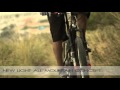 MSC Zion Carbon / Catal