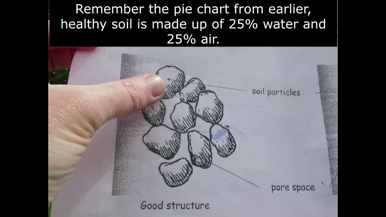 Urban Ecology: Soil infiltration