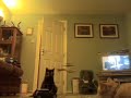 Pussy Cat V Micro Picoo Type Helicopter